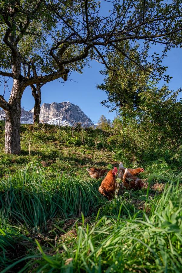 Bauernhof Vorderstiedler Farm stay