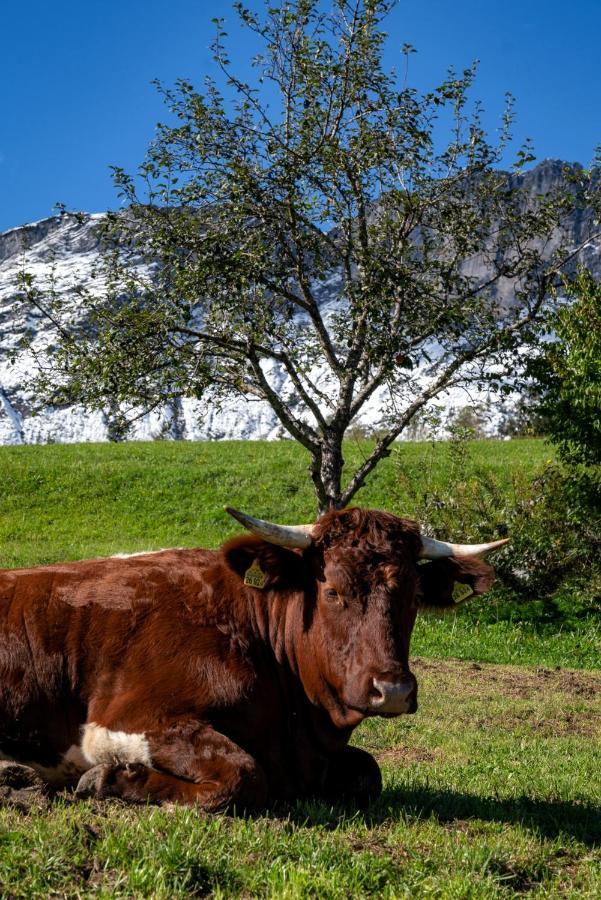 Bauernhof Vorderstiedler Farm stay *