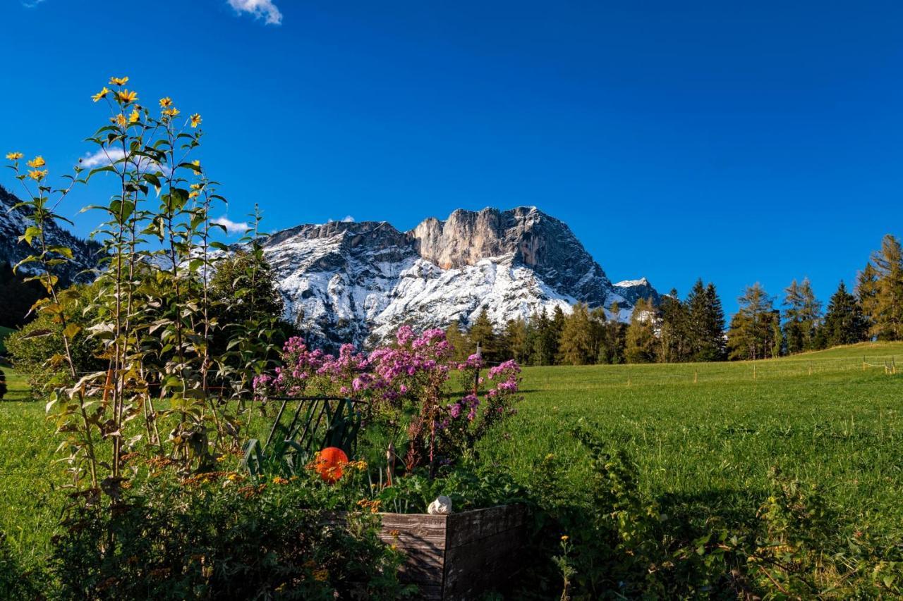 Bauernhof Vorderstiedler Farm stay