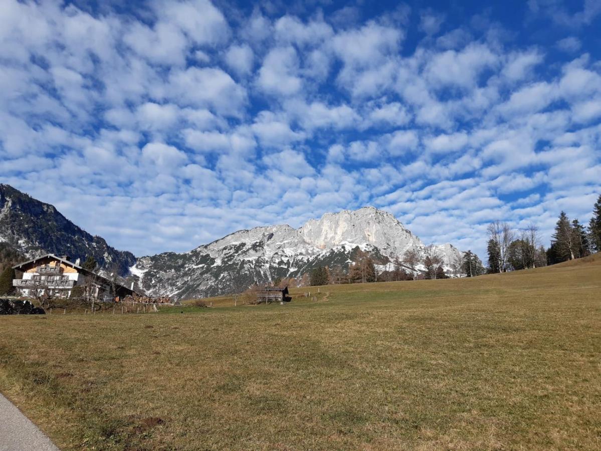 Bauernhof Vorderstiedler Farm stay